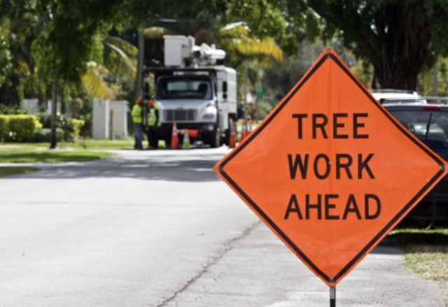 tree removal Mauldin sc
