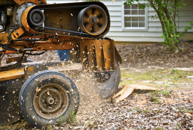 stump grinding greenville sc